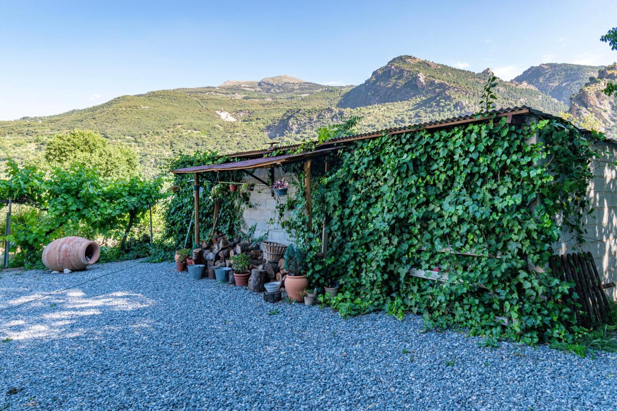 Casa Rural Olivillas Garden-Sierra Nevada Guejar Sierra Buitenkant foto